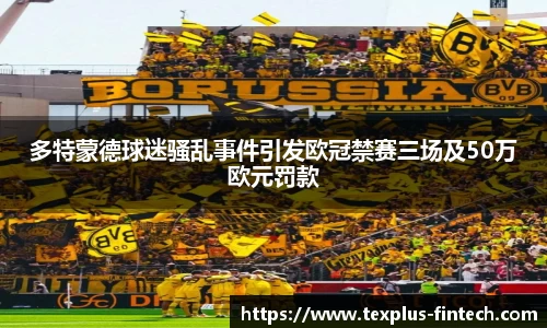 多特蒙德球迷骚乱事件引发欧冠禁赛三场及50万欧元罚款